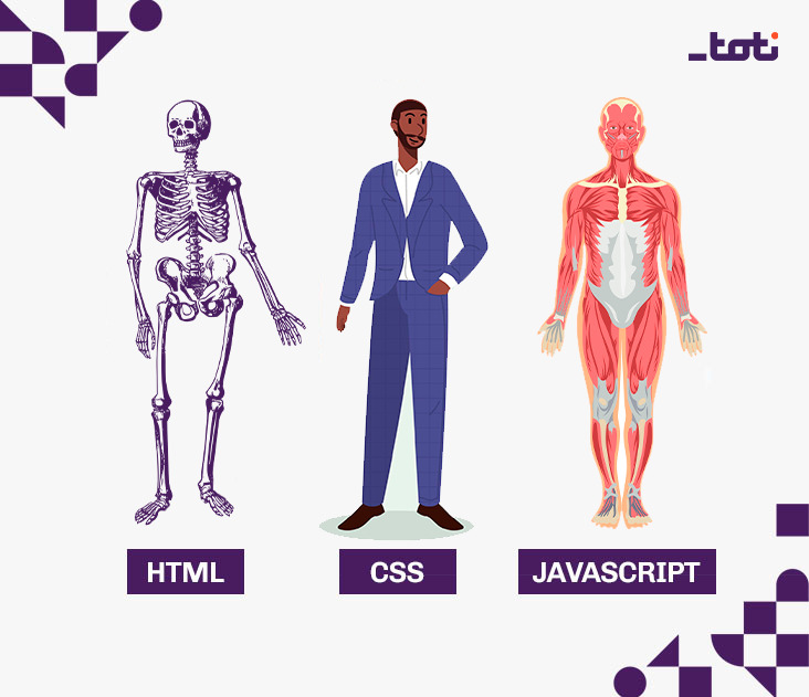 Ilustração representando a diferença entre HTML, CSS e JavaScript. O HTML é representado por um esqueleto, enquanto o CSS é ilustrado por uma figura já com sua aparência moldada. Por fim, o JavaScript é simbolizado por um corpo com músculos, denotando sua capacidade dinâmica e interativa.